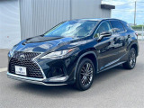 RX 300 