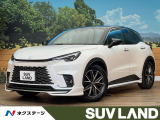 モデリスタエアロ 寒冷地仕様 全周囲カメラ レーダークルーズ ETC