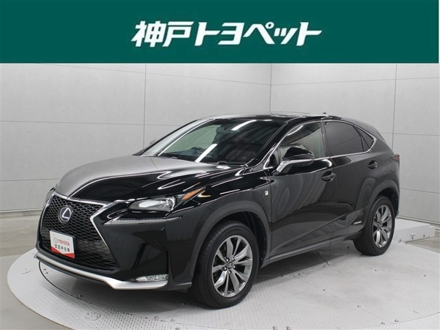 NX 300h Fスポーツ