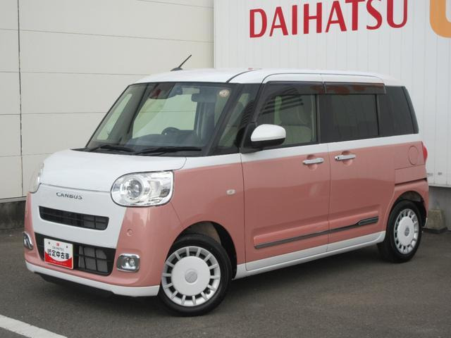 ムーヴキャンバス  ストライプス G
