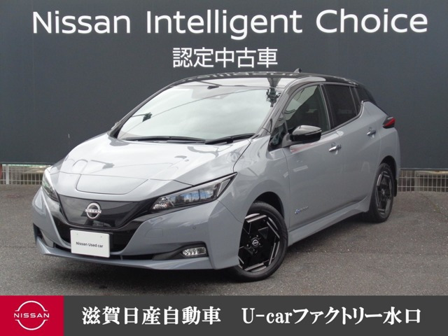リーフ X 