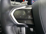 ステアリングスイッチ付き。前方から目を離すことなく操作することが可能です