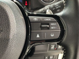 クルーズコントロールを装備しています。高速道路などで一定の速度で走ってくれるので運転が楽ですよ!速度を設定できますので、スピードの出しすぎにも注意できます。