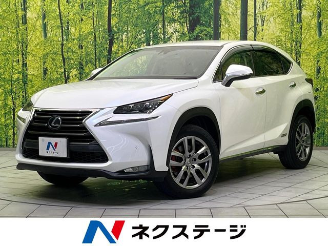 NX 300h Iパッケージ