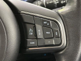 アダプティブクルーズコントロールは、前方の車両の速度に合わせて安全な車間を保ち、先進のクルージングをサポート。安心ができ、より快適なドライブをサポートいたします。