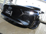 立体的なシグネチャーウィングと鋭いヘッドランプにより、奥行きのある堀の深いフロントフェイスとなっています。