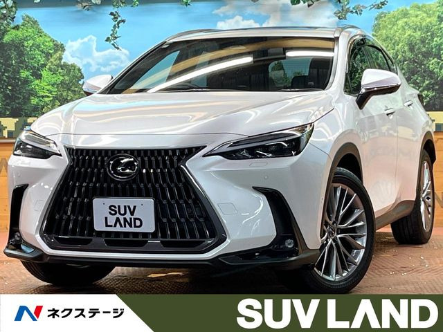 NX 350h バージョンL
