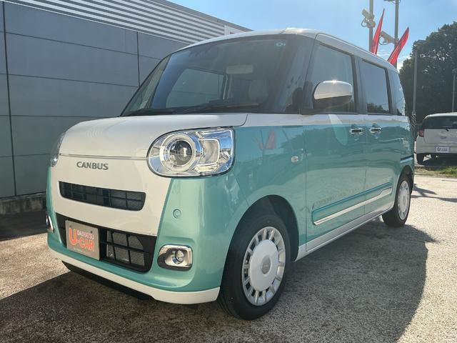 ムーヴキャンバス  ストライプス G