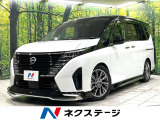 11型フリップダウン AWINフルエアロ 両側電動ドア プロパイロット