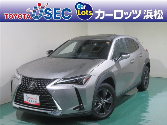 UX 250h バージョンC