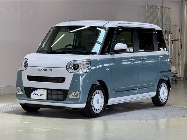 ムーヴキャンバス  ストライプス G