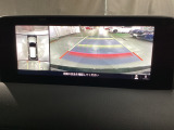 上からのトップビューとリア周辺の映像です。バックでの駐車時に主に使用します。