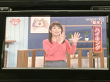 停車中にテレビやビデオの視聴を楽しめます。長距離移動や休憩時間のお供に最適です。