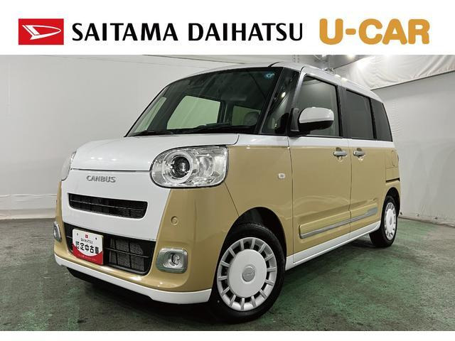 ムーヴキャンバス  ストライプス G