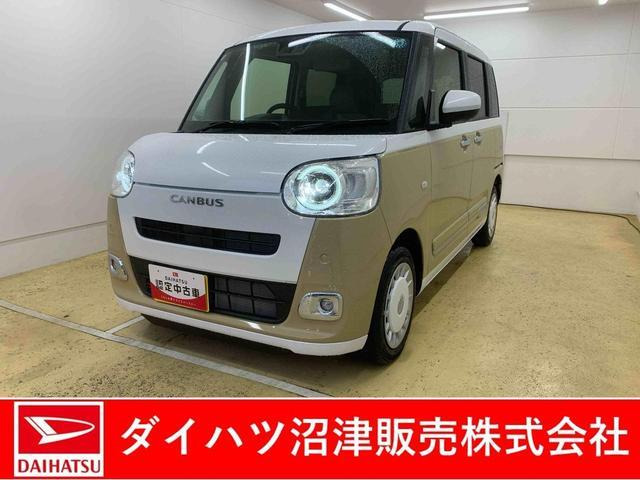 ムーヴキャンバス  ストライプス G