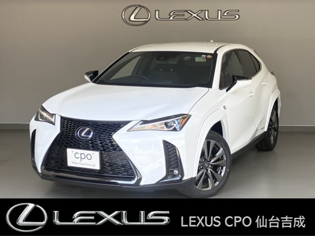 UX 250h Fスポーツ