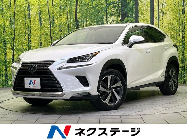 NX 300h バージョンL
