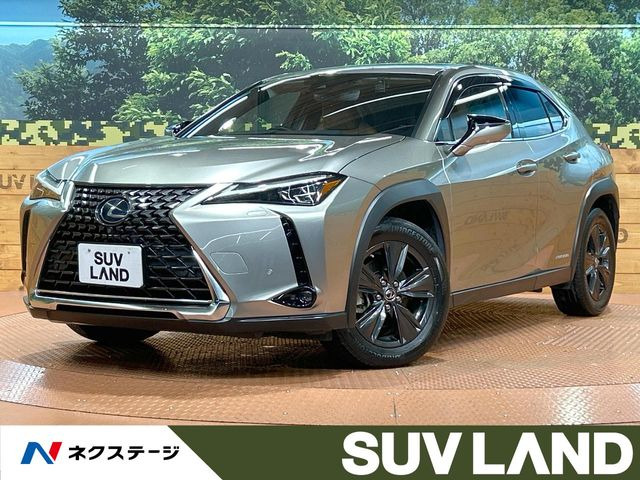 UX 250h バージョンC