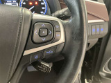 高速道路を一定速度で走行できるクルーズコントロールが付いています。