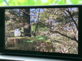 停車中には、地上デジタル放送を楽しめます。長距離移動の際の休憩時間に、リラックスできる空間を提供します。