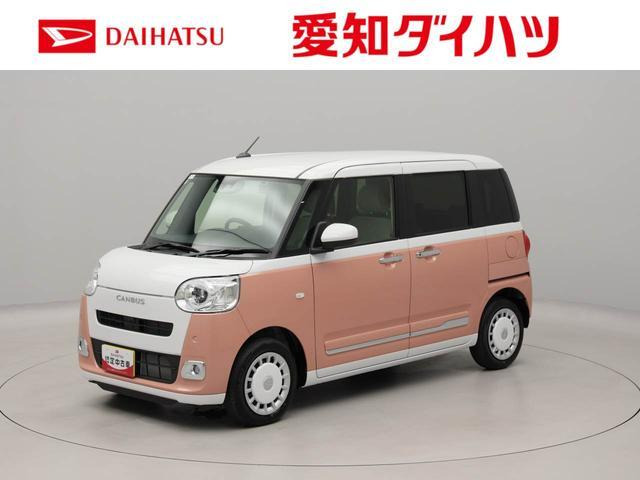 ムーヴキャンバス  ストライプス G