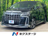 後期 ツインムーンルーフ モデリスタフルエアロ BIGX11型ナビ