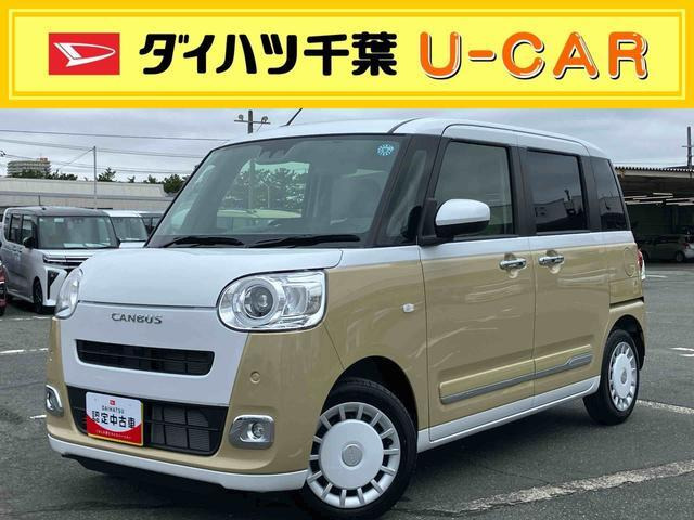 ムーヴキャンバス  ストライプス G