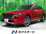 純正10型ナビ 全周囲カメラ 衝突軽減 レーダークルーズ
