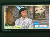 停車中には、地上デジタル放送のテレビ番組を視聴できます。休憩時間などにリラックスして過ごせる便利な機能です。
