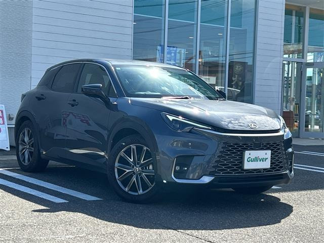 LBX リラックス E-Four 4WD 本革シート