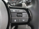 ◆アダプティブクルーズコントロール◆予め設定した車速内でクルマが自動的に加減速。前走車との適切な車間距離を維持しながら追従走行します。【LKAS】車線維持支援システムでステアリング操作を支援。