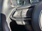 安全装備関連のスイッチもまとめられています!