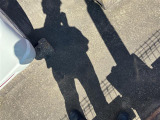 ルーテシア ゼン 修復歴無し