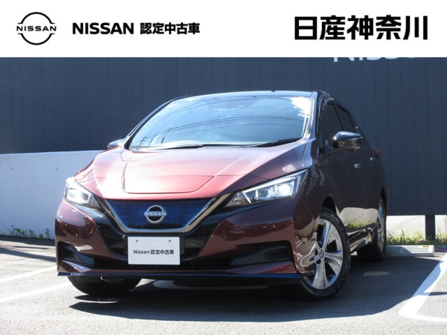リーフ  e+ アーバンクロム