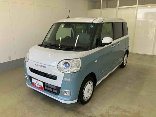 ムーヴキャンバス  ストライプス G
