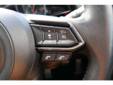 AutoExeのエアロパーツや各種装飾を装着した、スポーティで存在感のある1台!