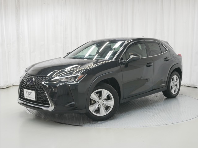 UX 250h 4WD
