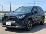 RAV4 2.0 X 