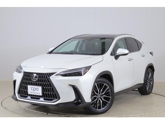 NX 250 バージョンL NX 250 バージョンL