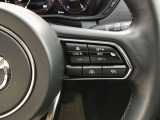 レーダークルーズコントロールを装備。アクセルやブレーキを操作しなくても、自動で先行車との車間距離を保ち追従走行できます。長距離や高速道路を運転する際に、ドライバーへの負担を軽減します。