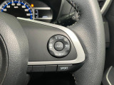 全車速追従機能付ACC(アダプティブクルーズコントロール)付