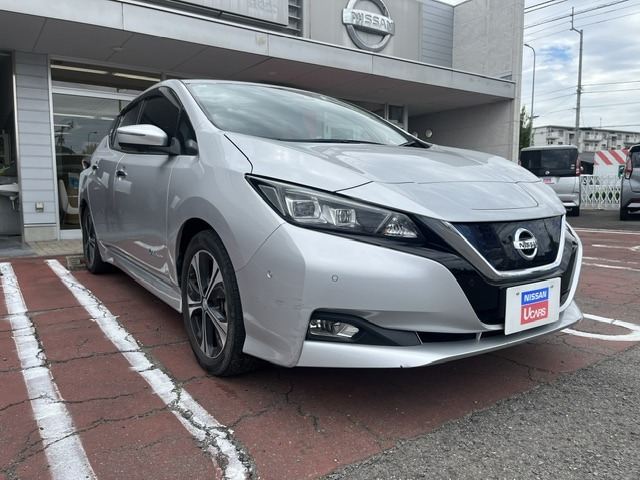 リーフ G