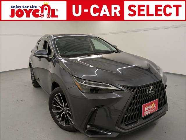 NX 350h バージョンL サンルーフ 全周囲カメラ ETC2.0