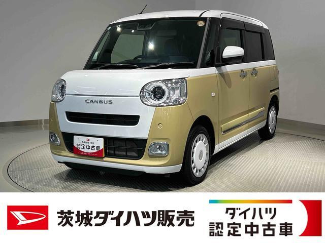 ムーヴキャンバス  ストライプス G
