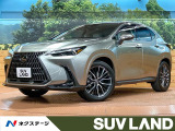衝突被害軽減装置 レーダークルーズ 純正14型ナビ 全周囲カメラ ETC