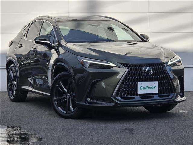 NX 250 バージョンL 4WD 4WD 本革シート