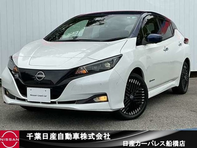 リーフ e+ G 