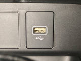 アクセサリーソケットの横にはナビゲーション用の外部入力可能なUSB端子がついています。
