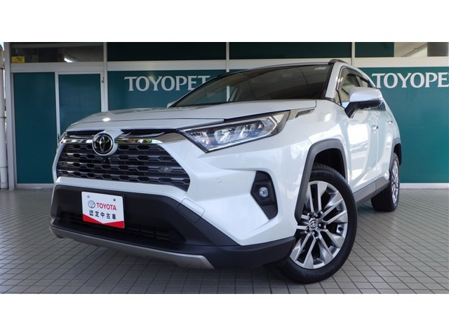 RAV4  2.0 G Zパッケージ 4WD