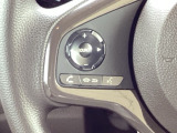 ステアリングにハンズフリー通話スイッチを装備。運転中でも手を離さずに通話操作ができるため、家族との連絡や急な電話にも安心して対応できます。